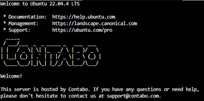 格安VPS Contaboを契約して、サーバー環境を整えるのカバー画像